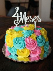 4 meses rosetas