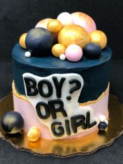 pastel gender reveal 2