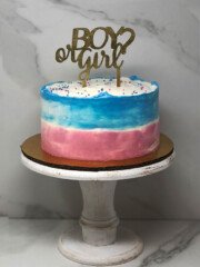 pastel gender reveal 9
