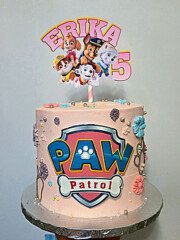 paw patrol pink01