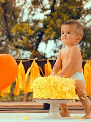 Cakes and Cupcakes for Celebrations – Dezzie Bakery Custom cakes and cupcakes made by Dezzie Bakery for celebrations